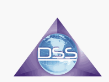 DSS